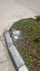 Pemasangan Sprinkle Taman